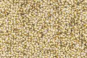 Ковролин AW Dakota 35 фото  | FLOORDEALER