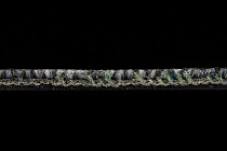 Escom City Line 376 фото 4 | FLOORDEALER