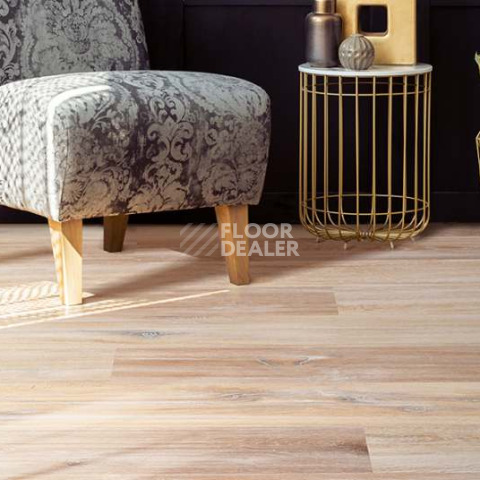 Wood Xl Oak  Gekalte New фото 2 | FLOORDEALER