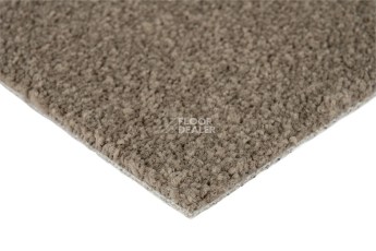 Mountain View 4398 фото 5 | FLOORDEALER