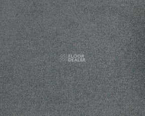 Ковролин Lano Lior 820 Slate фото 1 | FLOORDEALER