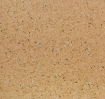 Линолеум Tarkett iQ Aria CARII-660 фото 1 | FLOORDEALER