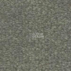 Ковролин Shaw Bradberry 30 752 фото 1 | FLOORDEALER