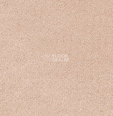 Ковролин Creatuft Sheba 1108 фото 1 | FLOORDEALER