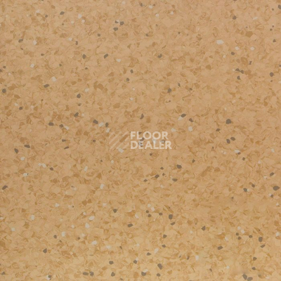 Линолеум Tarkett iQ Aria CARII-660 фото 1 | FLOORDEALER