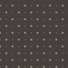 Agnella Natural Ditto Graphite фото 1 | FLOORDEALER