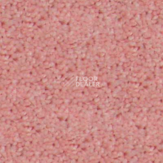 Ковролин Abracadabra Beaulieu of America 17 фото 1 | FLOORDEALER