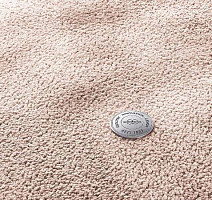 Ковролин Vorwerk Superior 1067 Mira Vorwerk Myrana фото 1 | FLOORDEALER