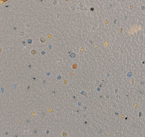 Forbo SureStep Original 172182 greige фото 2 | FLOORDEALER