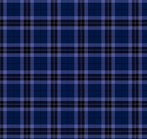 Ковролин Agnella Impulse Tartan Navy фото 1 | FLOORDEALER