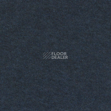 Ковролин Sintelon Ekvator 43653 фото 1 | FLOORDEALER