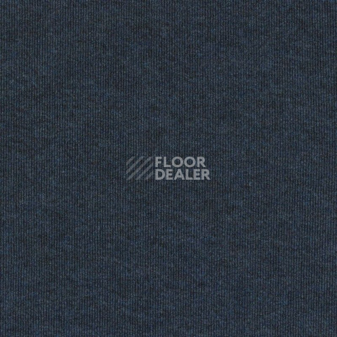 Ковролин Sintelon Ekvator 43653 фото 1 | FLOORDEALER