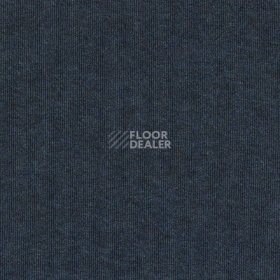 Ковролин Sintelon Ekvator 43653 фото 1 | FLOORDEALER