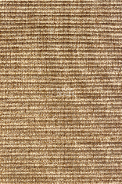 Циновки Aw Invictus Levinus Levinus 35 a фото 1 | FLOORDEALER