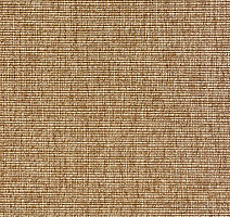 Циновки Aw Invictus Levinus Levinus 35 a фото 1 | FLOORDEALER