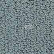 Ковролин Infloor Color 53 555 фото 1 | FLOORDEALER