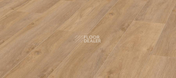 Ламинат Kronotex Robusto 12мм d4954 Дуб Премиум фото 1 | FLOORDEALER