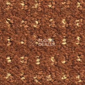 Ковролин Balsan Baccarat Baccarat 469 фото 1 | FLOORDEALER