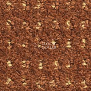 Ковролин Balsan Baccarat Baccarat 469 фото 1 | FLOORDEALER