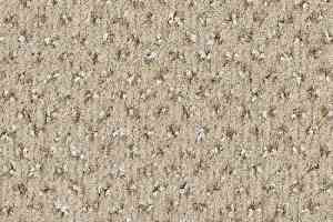 Ковролин Balsan Signature 604 фото  | FLOORDEALER