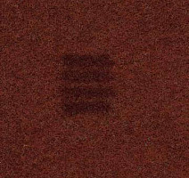 Ковролин Finett Quattro 10532 фото 1 | FLOORDEALER