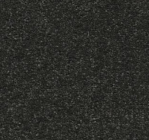 Ковролин AW Vivendi Vibes 98 фото 1 | FLOORDEALER