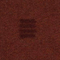 Ковролин Finett Quattro 10532 фото 1 | FLOORDEALER