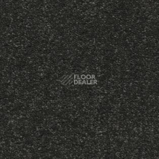 Ковролин AW Vivendi Vibes 98 фото 1 | FLOORDEALER