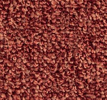 Ковролин Balsan Omega 578 фото 1 | FLOORDEALER