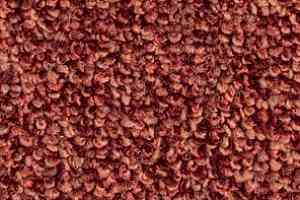 Ковролин Balsan Omega 578 фото  | FLOORDEALER