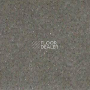 Ковролин Shaw all That Jazz 21322 фото 1 | FLOORDEALER