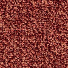 Ковролин Balsan Omega 578 фото 1 | FLOORDEALER