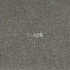 Ковролин Shaw all That Jazz 21322 фото 1 | FLOORDEALER