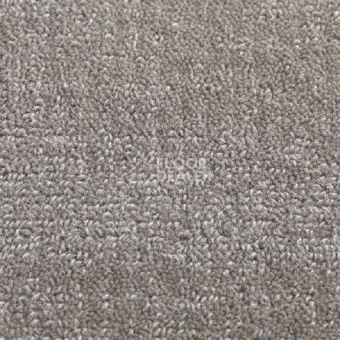 Ковролин Jacaranda Carpets Willingdon Papyrus фото 1 | FLOORDEALER