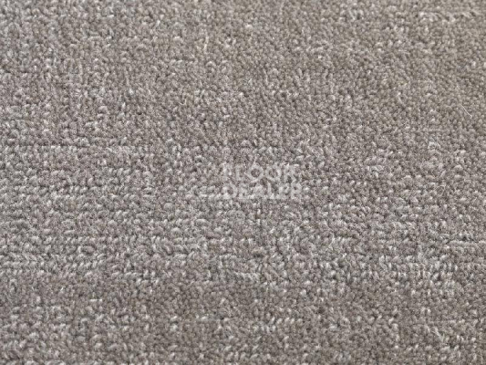 Ковролин Jacaranda Carpets Willingdon Papyrus фото 1 | FLOORDEALER