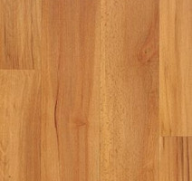 Линолеум Juteks Mega MARRON 1240 фото 1 | FLOORDEALER