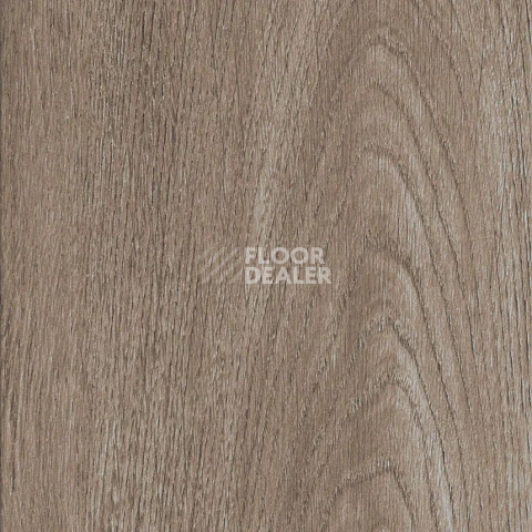 Кварцвиниловые полы AW Invictus Maximus Plank England Oak Dusk фото 1 | FLOORDEALER