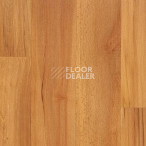Линолеум Juteks Mega MARRON 1240 фото 1 | FLOORDEALER