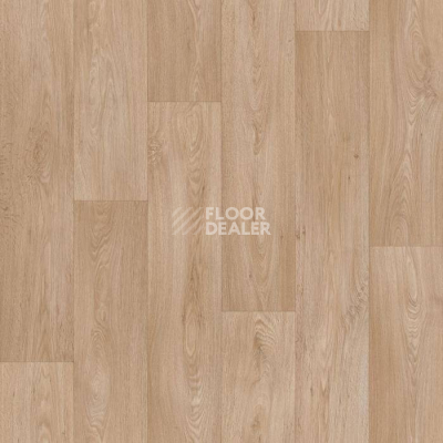 Линолеум Tarkett Leader Bailye 2 фото 1 | FLOORDEALER