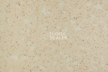 Линолеум Tarkett Acczent Pro Aspect 4 фото 1 | FLOORDEALER