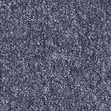 Desso Tempra-Brlm 8903 фото 1 | FLOORDEALER