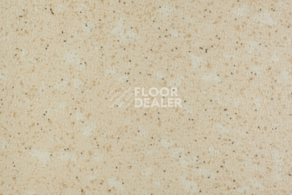 Линолеум Tarkett Acczent Pro Aspect 4 фото 1 | FLOORDEALER