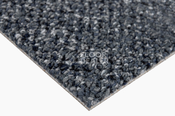 Desso Solid ac 73 9022 фото 6 | FLOORDEALER