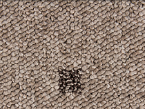 Ковролин Timzo Vegas 1012 фото 1 | FLOORDEALER