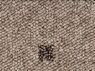 Ковролин Timzo Vegas 1012 фото 1 | FLOORDEALER