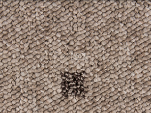 Ковролин Timzo Vegas 1012 фото 1 | FLOORDEALER