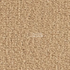 Ковролин Balsan Les Best III Les Best III 638 фото 1 | FLOORDEALER