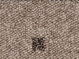 Timzo Vegas 1012 фото 1 | FLOORDEALER