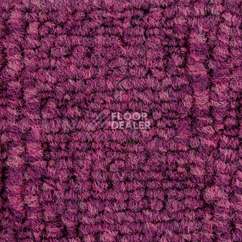 IVC Alternate 467 фото 2 | FLOORDEALER