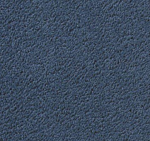 Ковролин Vorwerk Passion 1003 Vorwerk 3n60 фото 1 | FLOORDEALER